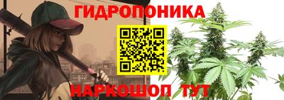 СК Краснодар