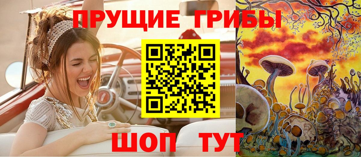 Псилоцибиновые грибы Psilocybe Зеленодольск